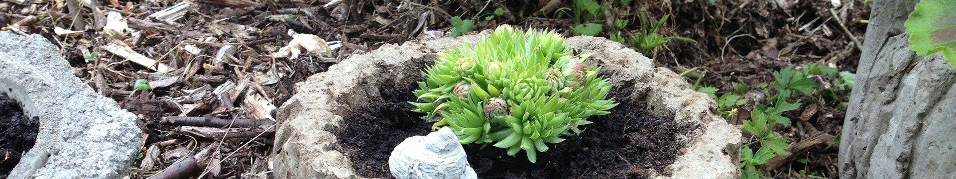 Blumentopf aus Beton mit Bepflanzung